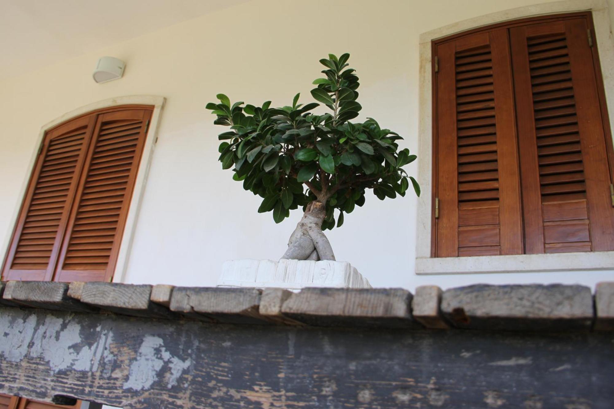 B&B San Lorenzo Bitonto Esterno foto