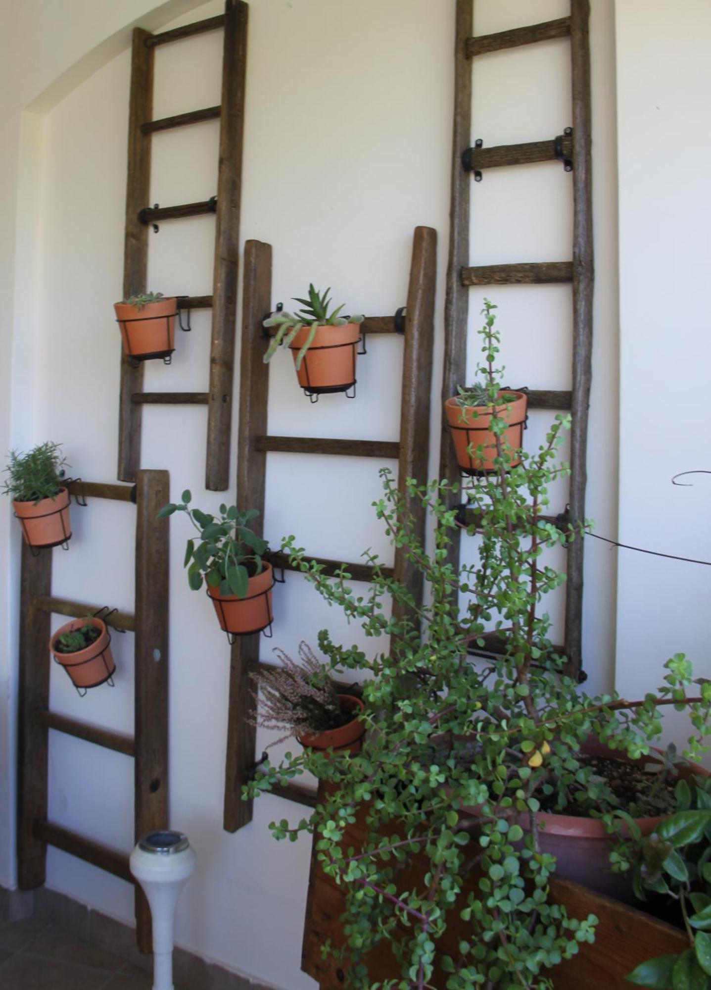 B&B San Lorenzo Bitonto Esterno foto